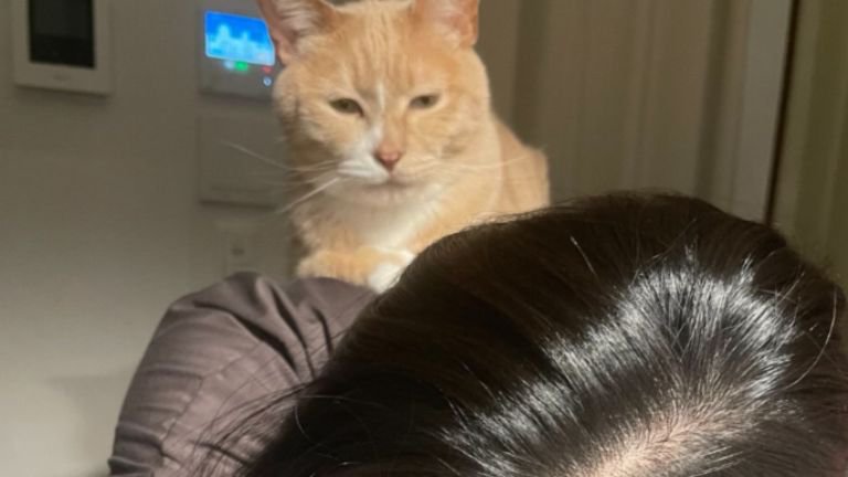 女性と猫