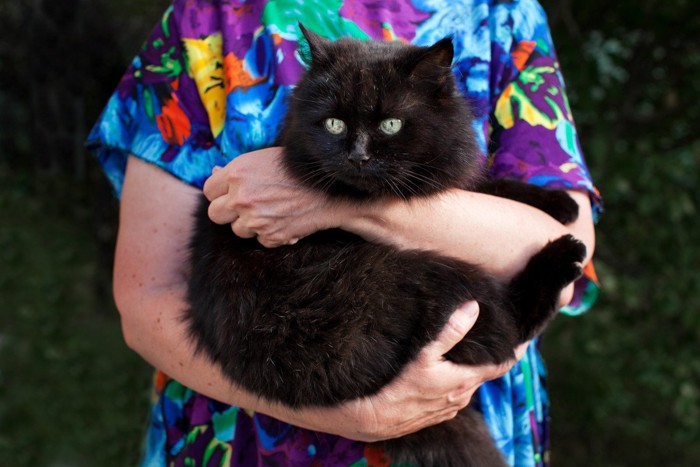女性に抱かれる黒猫