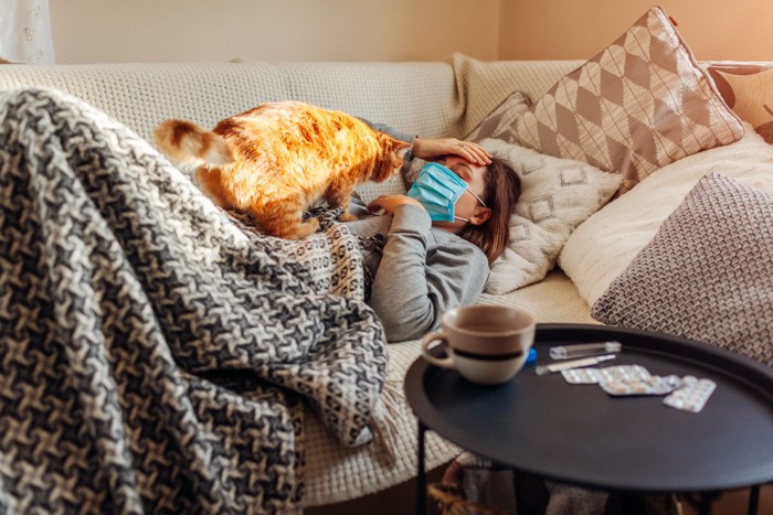 体調不良で眠る女性のそばにいる猫