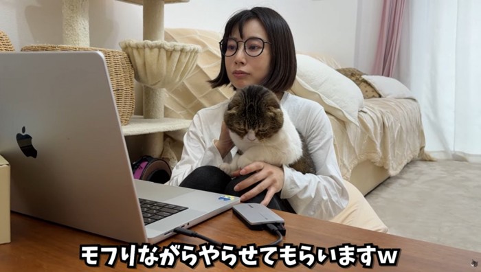 女性の膝の上に乗っている猫