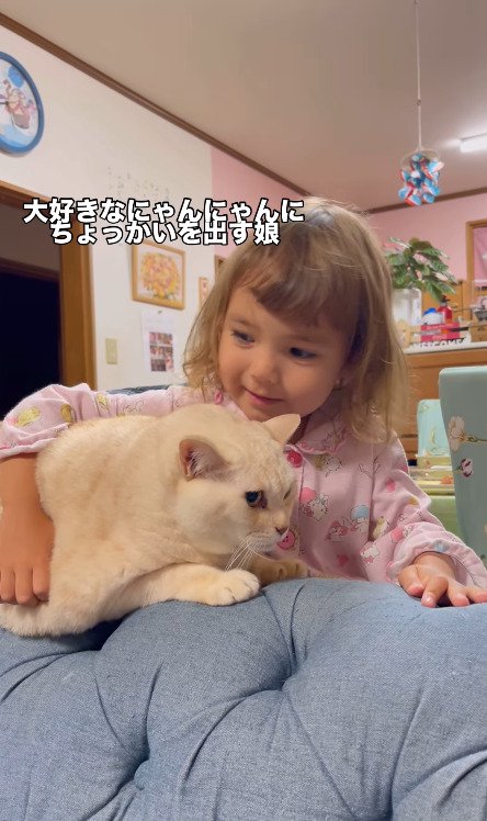 女の子にぎゅっとされる猫