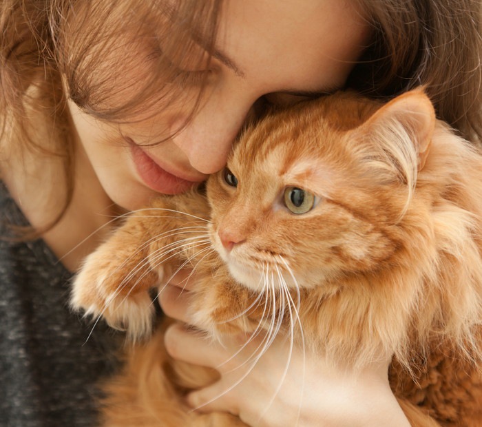 猫を抱っこする女性