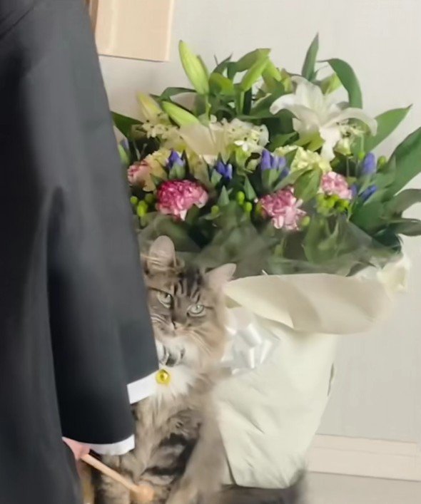 お坊さんと猫