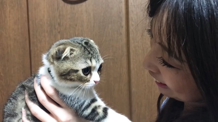 子猫と笑顔の飼い主さん