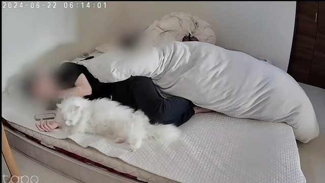 ベッドで横になる女性に寄り添う猫