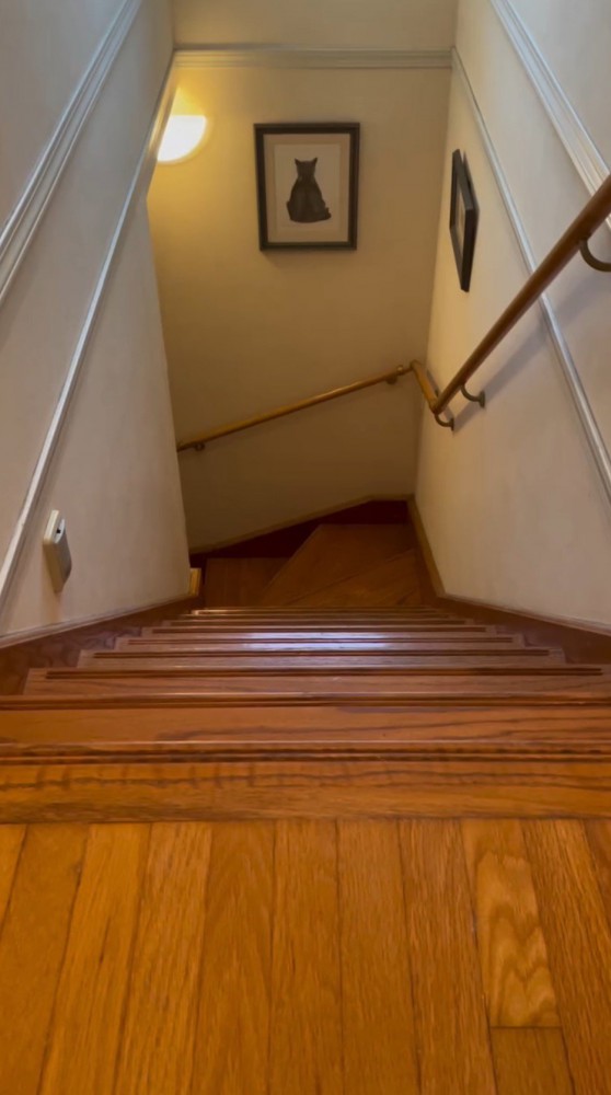 階段下に向かって「おいで」と言う飼い主