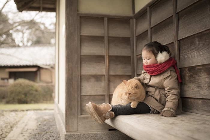 小さな子供の膝に乗る猫