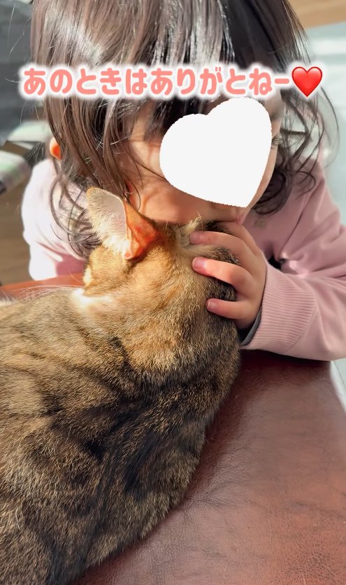 子供に頬ずりされている猫