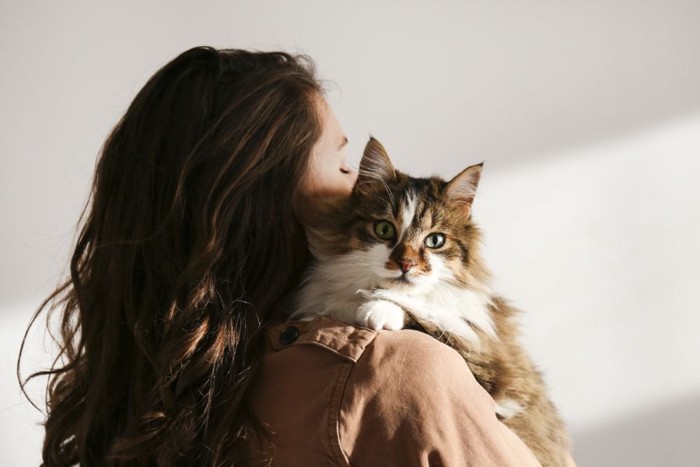 女性に抱っこされる猫