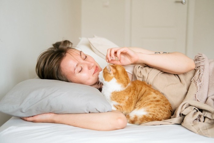 一緒に寝る猫と飼い主さん