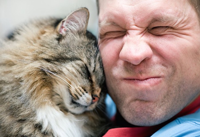 男性の顔に頭突きをする猫