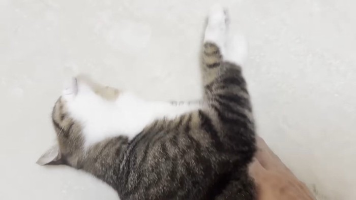 顎を反らした姿