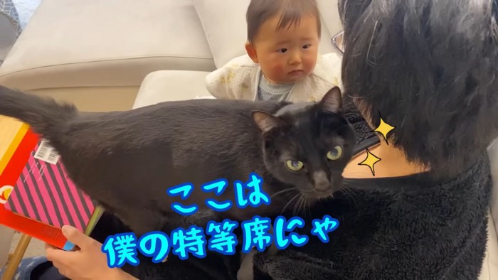 テロップ「ここは僕の特等席にゃ」