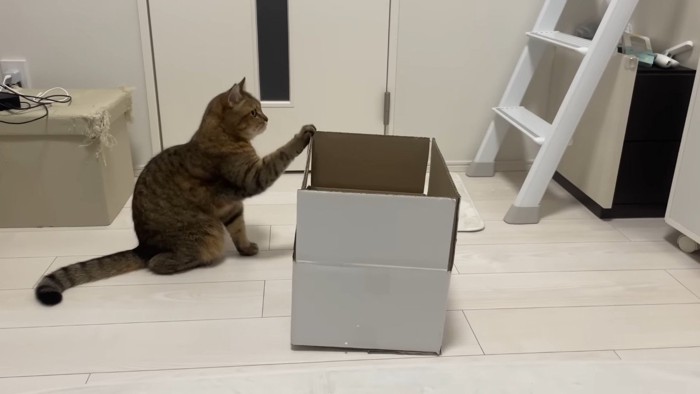 箱をタッチ