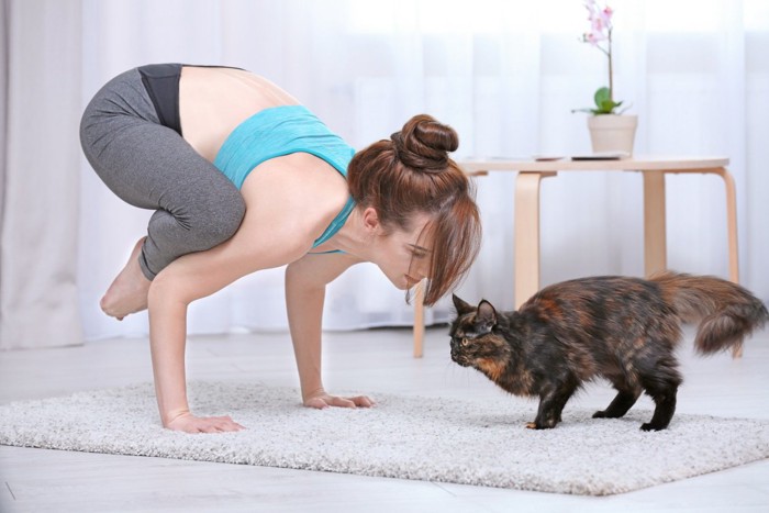 ヨガをする女性と猫