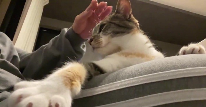インカメラで撮影中のむーちゃん
