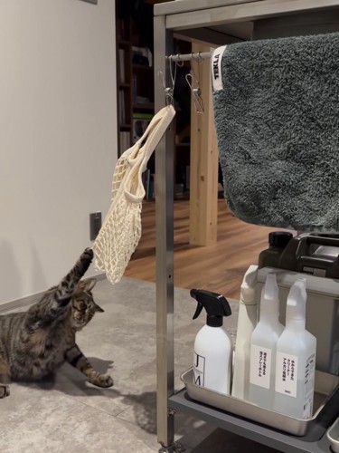 網に爪を引っかけて体勢が崩れる猫