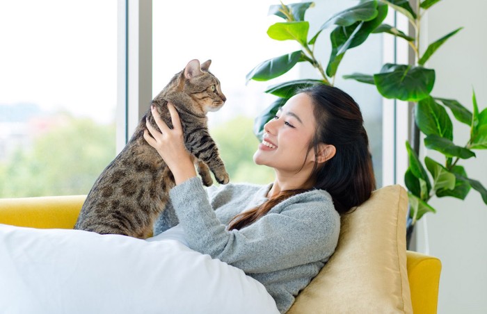 女性にやさしく抱っこされるメス猫