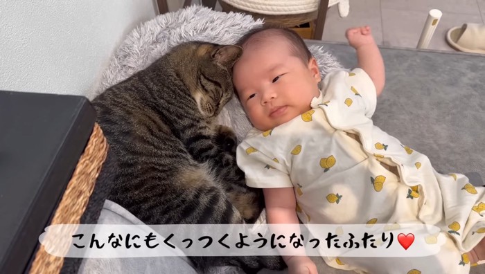 添い寝