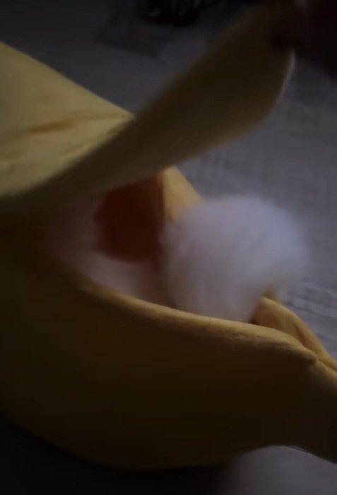 ペット用バナナベッドのふたをめくる