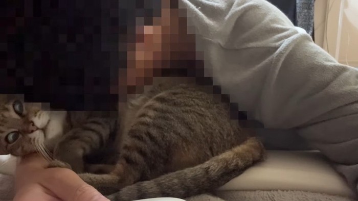 猫吸い