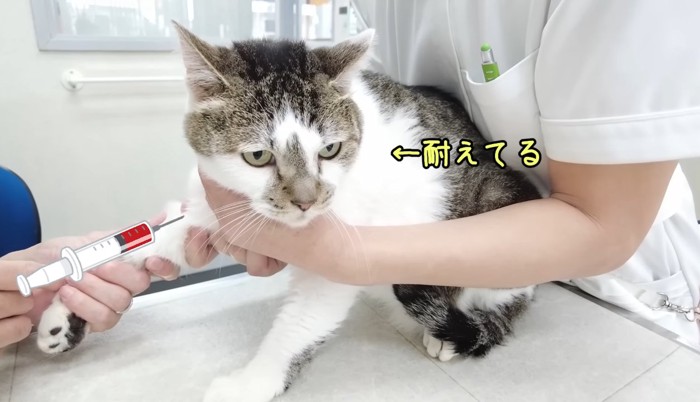 耐えてる