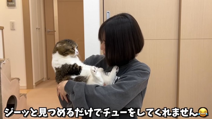 抱っこされる猫