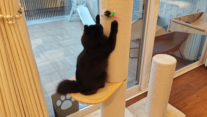 爪とぎ