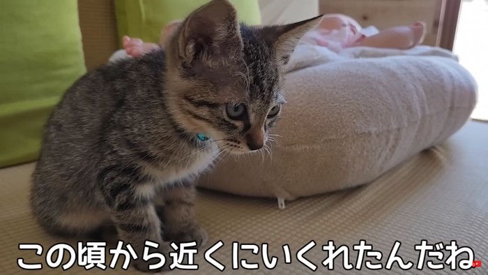 テロップ「この頃から近くに~」