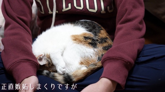 「正直嫉妬しまくりですが」のテロップ写真