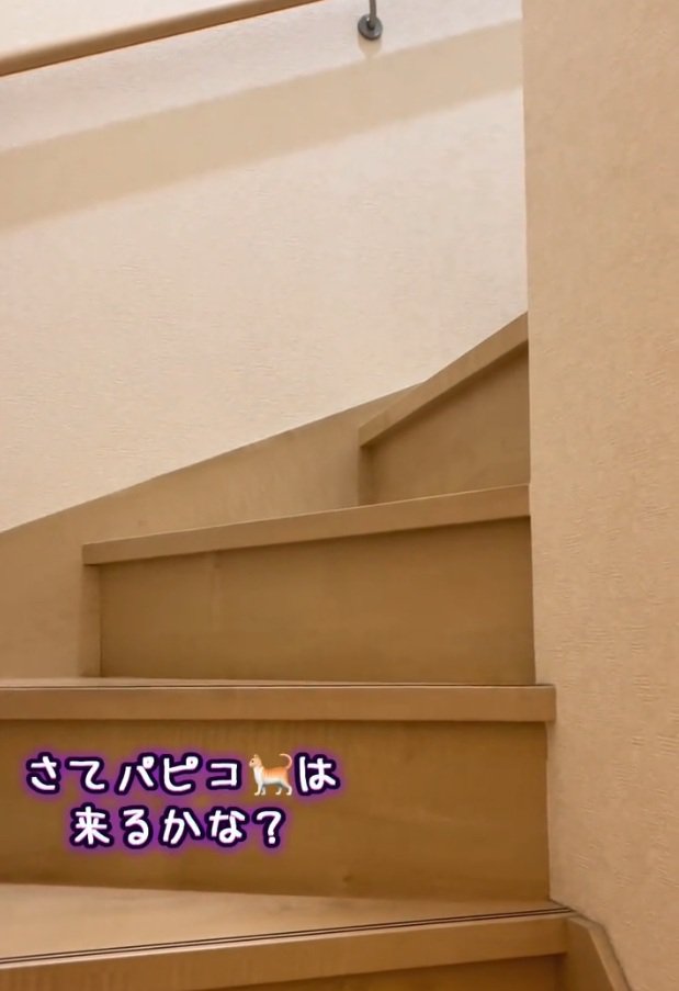 2階に続く階段