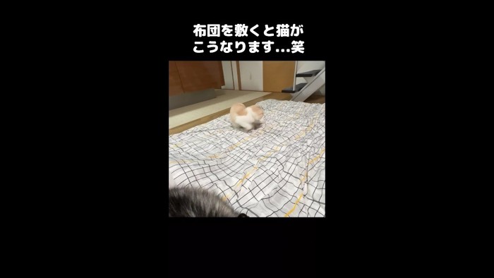 回る姿