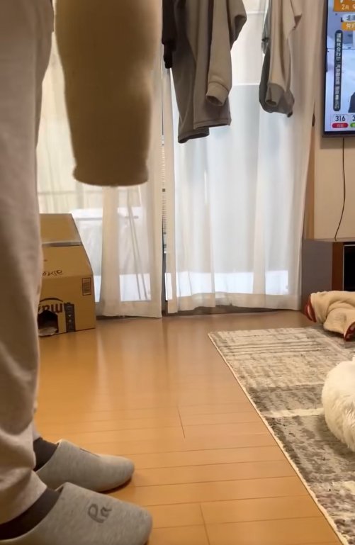 フリースの袖口を下にして持っている飼い主