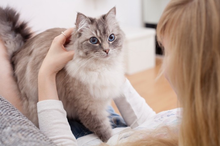 女性と猫