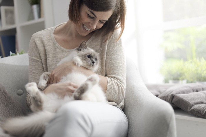 読書中の女性の側にいる猫