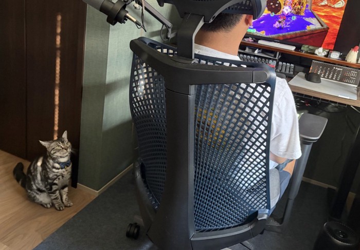 ゲームをしている男性に熱い視線を送る猫