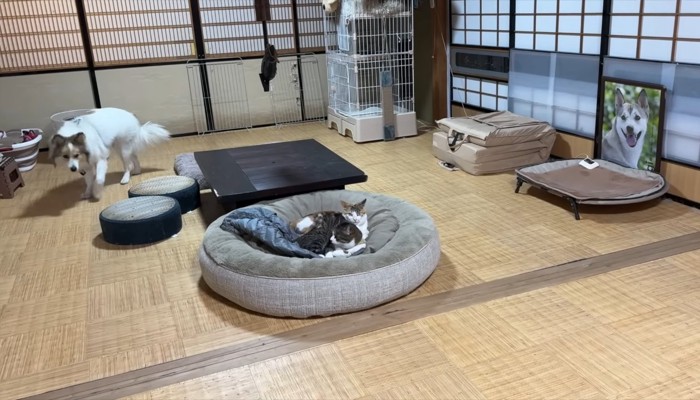 タナちゃん