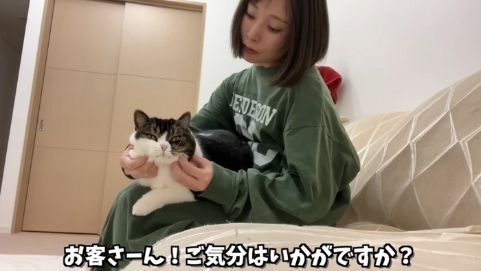 顔をなでられる猫