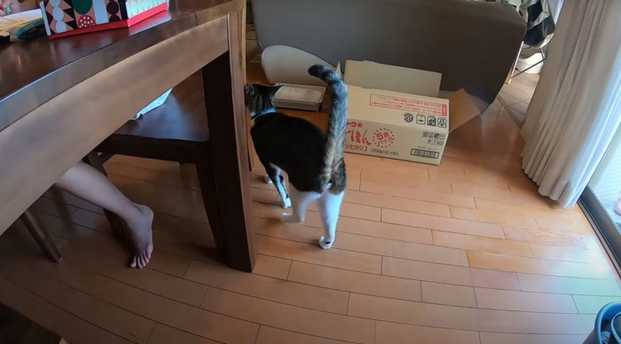 椅子にすりすり