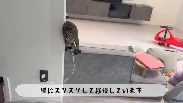 テロップ「壁にスリスリして~」