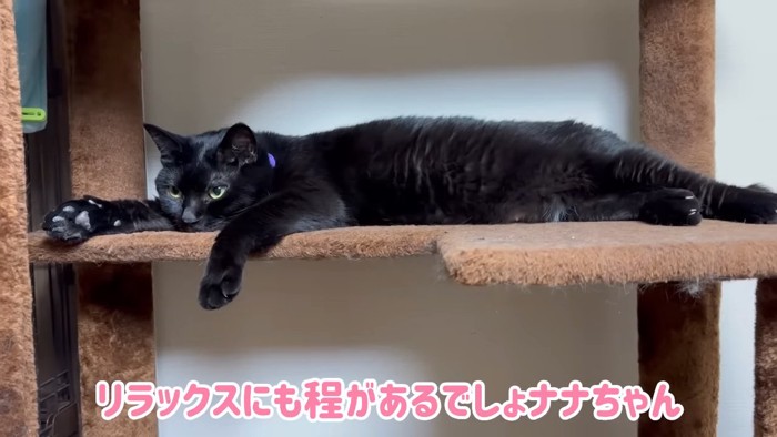 寝そべる黒猫