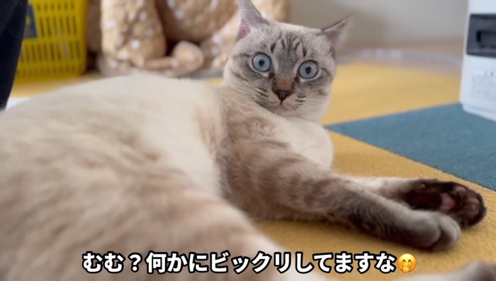 ビックリ