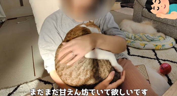 腕の中の猫