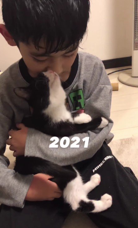 猫を抱っこしている男の子