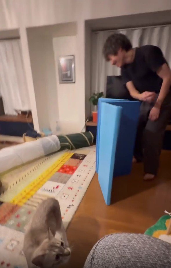 遊んでいる猫とパパさん