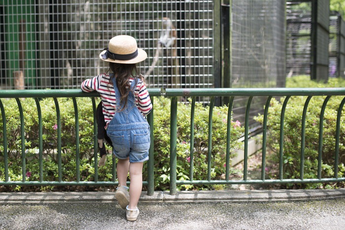 動物園 女の子