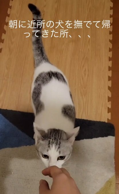 匂いチェック