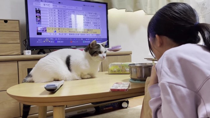 食事風景を見つめる猫