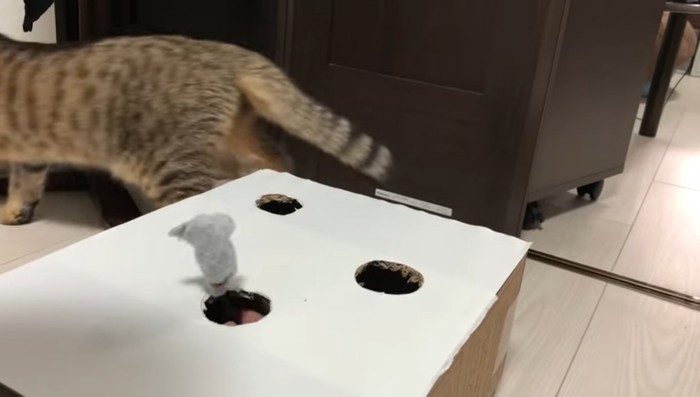 立ち去り中