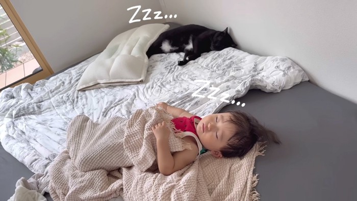 一緒に昼寝するふたり